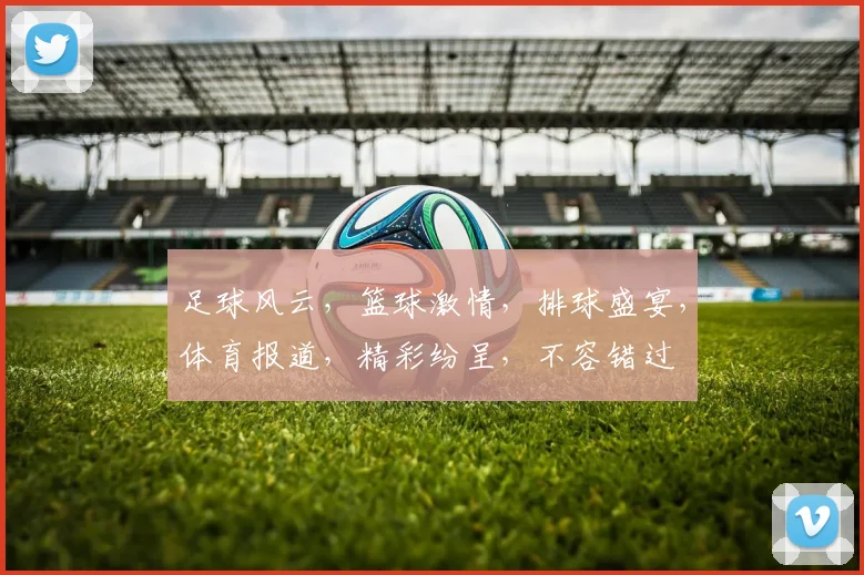 足球风云，篮球激情，排球盛宴，体育报道，精彩纷呈，不容错过