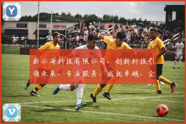 新公海科技有限公司，创新科技引领未来，专业服务，成就卓越，企业成长之道，三步走