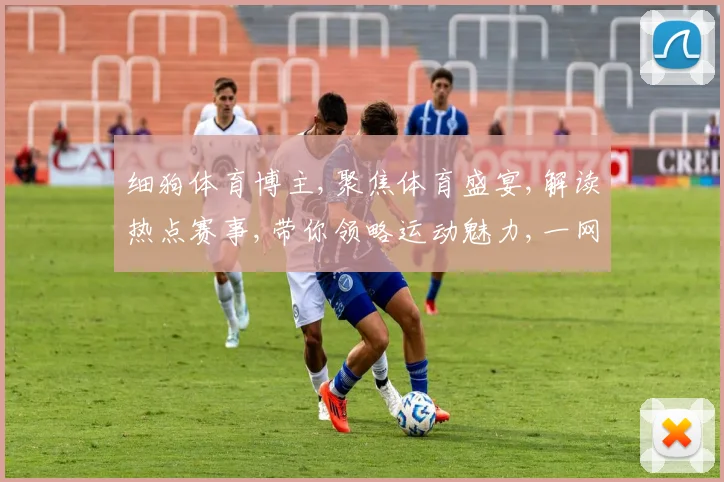 细狗体育博主,聚焦体育盛宴,解读热点赛事,带你领略运动魅力,一网打尽精彩瞬间