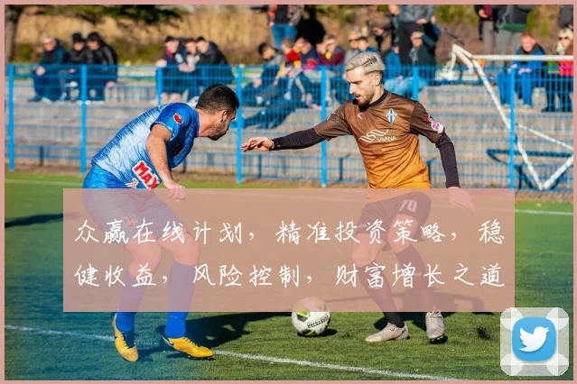 众赢在线计划，精准投资策略，稳健收益，风险控制，财富增长之道，三步走